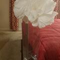 Review photo 6
