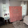 Review photo 4