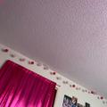 Review photo 2