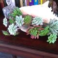 Review photo 1