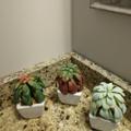 Review photo 2
