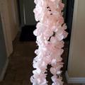 Review photo 4