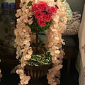 Review photo 6