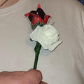 Review photo 2