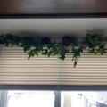 Review photo 1