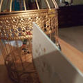 Review photo 1