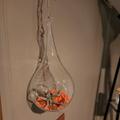 Review photo 2