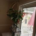 Review photo 5