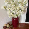 Review photo 4
