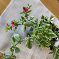 Review photo 3