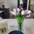 Patricia Nicholas review photo for Definitely Worthy of 5 Stars