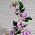 Review photo 2