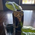 Review photo 2