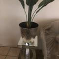 Review photo 1