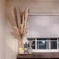Review photo 6