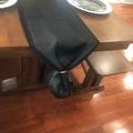 Review photo 4