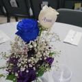 Review photo 5