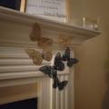 Review photo 5
