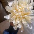 Review photo 1