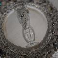 Review photo 1