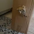 Review photo 1