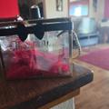 Review photo 1