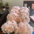Review photo 4