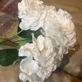 Review photo 2