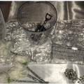 Review photo 2