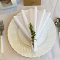 Zahra Hassan review photo for Plates that looked real