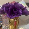 Review photo 1