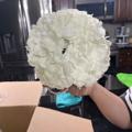 Review photo 4
