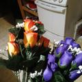 Review photo 5