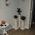 Review photo 3