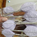 Review photo 1