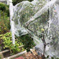 Review photo 5
