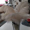 Review photo 1