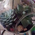 Review photo 1