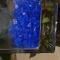 Review photo 1
