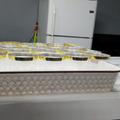 Review photo 6