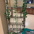 Review photo 2