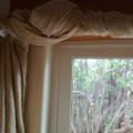 Review photo 1