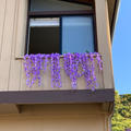 Review photo 4