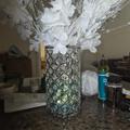 Review photo 1