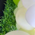 Review photo 5