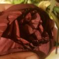 Review photo 1