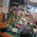 Review photo 4