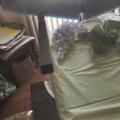 Review photo 6