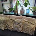 Review photo 1