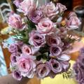 Review photo 6